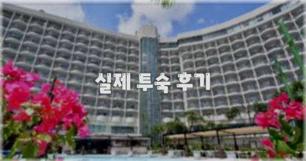 💬 실제 투숙 후기